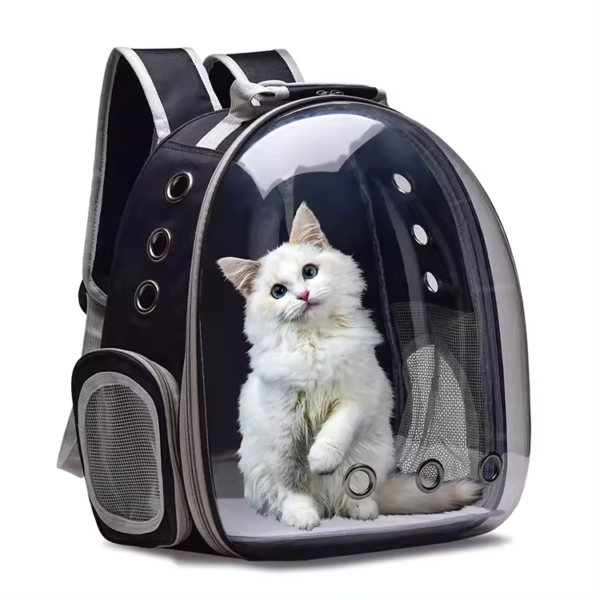 Morral Viajero Mascotas